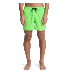 Quiksilver EVERYDAY SOLID VOLLEY 15 Yeşil Erkek Şort EQYJV04120-GGY0