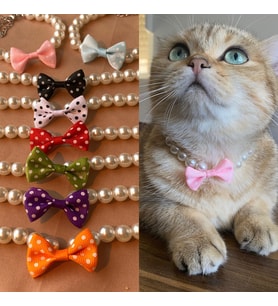Papyonlu İnci Boncuk Kedi Tasması Kedi Kolyesi