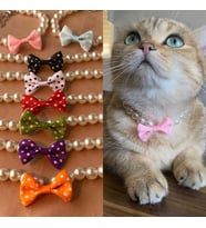 Papyonlu İnci Boncuk Kedi Tasması Kedi Kolyesi