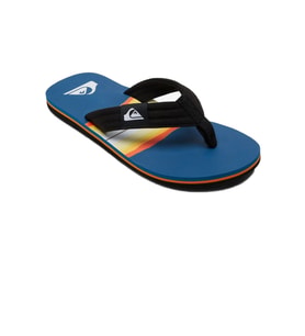 Quiksilver Molokai Layback Erkek Parmakarası AQYL101241