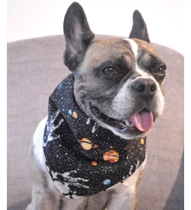 UZAY DESENLİ SİYAH BEYAZ ÇİFT TARAFLI ÇITÇITLI KEDİ VE KÖPEKLER İÇİN BANDANA