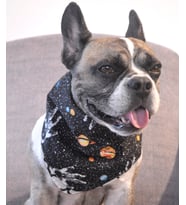 UZAY DESENLİ SİYAH BEYAZ ÇİFT TARAFLI ÇITÇITLI KEDİ VE KÖPEKLER İÇİN BANDANA