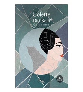 Dişi Kedi