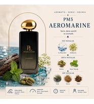 AEROMARİNE PM-5 100 ML