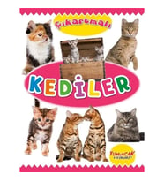 Çıkartmalı Kediler