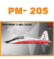 NORTHROP T-38 MAKET UCAK