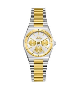 Slazenger SL.09.2467.4.03 Quartz Çelik Altın/Gri 34 mm Kadın Kol Saati
