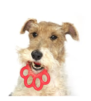 Orma Köpek Oyuncağı Mavi