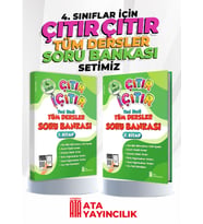 4. Sınıf Çıtır Çıtır Tüm Dersler Soru Bankası Set 1 ve 2. Kitap (1 ve 2. Dönem)