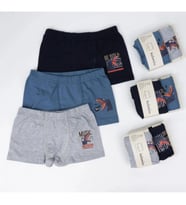 Katamino Winden 2li Erkek Boxer K128638 Karışık Renk