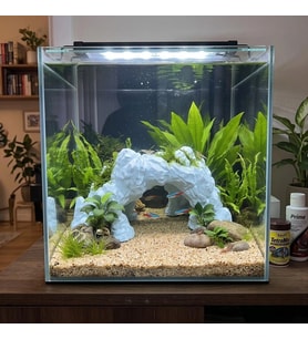 3D PETG Akvaryum Kaya Taş Köprü Dekoru Batabilen Süs KP3D20512