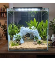 3D PETG Akvaryum Kaya Taş Köprü Dekoru Batabilen Süs KP3D20512
