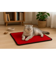 Yumuşak Dokulu Peluş Kedi Halısı 40x40 cm Kulübe İçi Pofuduk Minder (Kırmızı)