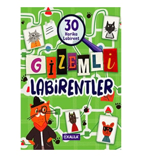 Gizemli Labirentler