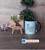 Teyzeye Hediye Fotoğraflı Dekoratif Taş, Kupa Bardak Beyaz Hediye (Model 11)