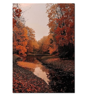 Ahşap Tablo Ormanda Sonbahar Renkleri Ve Küçük Nehir (50x70 Cm Boyut)