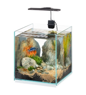 Ferplast Tonga 20 Ledli Akvaryum 22x22x36Cm