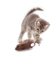 Kurmalı Tüylü Fare Kedi Eğitim Oyuncağı Hareketli Peluş Oyuncak (Karışık)