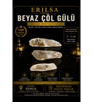 Sertifikalı Beyaz Çöl Gülü Selenit Taşı Kütle - 3-4 cm Küçük Boy Doğal Şeffaf Kristal Ham Taş