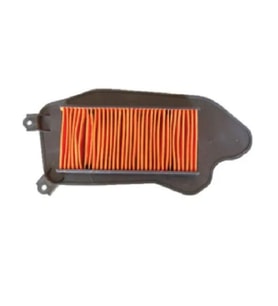 Motomaster 303-131 Hava Filtresi