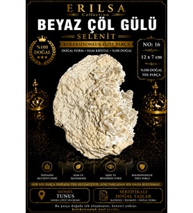 Sertifikalı Beyaz Çöl Gülü Selenit Taşı Kütle - 12x7 cm Koleksiyonluk Doğal Tek Parça