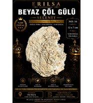 Sertifikalı Beyaz Çöl Gülü Selenit Taşı Kütle - 12x7 cm Koleksiyonluk Doğal Tek Parça