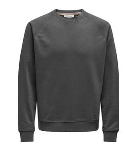 ONSMICHI LIFE REG CREW NECK SWEAT (Gri)