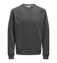 ONSMICHI LIFE REG CREW NECK SWEAT (Gri)