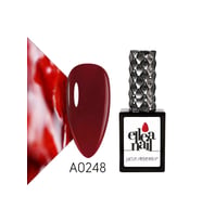 Profesyonel Kalıcı Oje 15 ml A0248