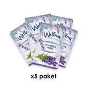 Wellnax Askılı Çekmece ve Dolap Koku Kesesi - Lavanta - 5 Adet