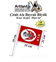 Çıtalı Ata Bayrak Kağıt 21x29 cm 10 Adet Atalı Bayrak Çıtalı Sopalı Büyük Bayrak Plastik Çubuklu Bayrak (Kırmızı-Beyaz)