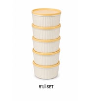 AKILLIELMA BERCAN PLASTİK 5Lİ SAKLAMA KABI 0,45L