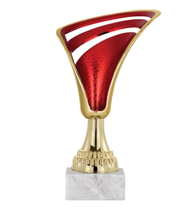 ODAK KUPA - Genel Kupalar - GN-033 A - 21 cm