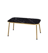 Orta Sehpa Gold Metal Ayak Altın Bendir