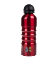 Biggdesign Cats Alüminyum Matara 700 Ml