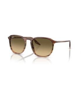 RB 2203 13920A 52 Ray-Ban Güneş Gözlüğü