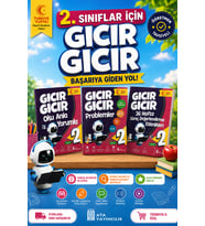 2. Sınıf Gıcır Gıcır Oku Anla Yorumla - Problemler - 36 Hafta Süreç Değerlendirme Etkinlikleri