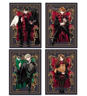 HARYY POTTER 80 KARELİ DEFTER