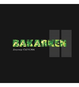 Bakarken 2