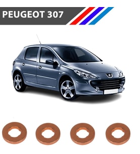 Peugeot 307 1.6 HDI Enjektör Pulu 4 Tırnak 4 Adetli Set
