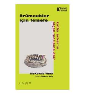 Örümcekler İçin Felsefe: Kathy Acker’ın Alçak Teorisine Dair