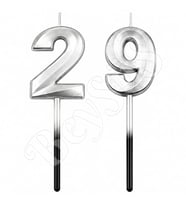 29 Rakam Mum Gümüş