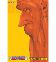 Bleach (3-In-1 Edition), Vol. 20: Includes Vols. 58, 59 & 60: Volume 20 (Krem)
