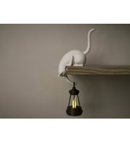 Raf Kenarı Kedi Askı  Dekoratif Kedi Figürlü Askılık