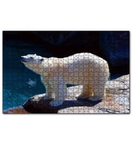 Cakapuzzle Kutup Ayısı Hayvanat Bahçesinde  Puzzle Yapboz MDF (Ahşap) (120 Parça)