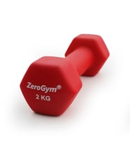 Zerogym Neopren Kaplı  İçi Demir Dambıl 2 kg Kırmızı 1 Adet