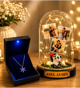 Kişiye Özel LED Işıklı Pandalı Fanus ve 925 Ayar Gümüş Ametist Lotus Kolye
