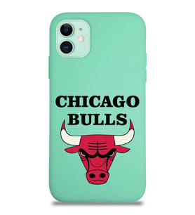 Apple iPhone 11 Uyumlu Lansman Kılıf Chicago Bulls Tasarımlı Altı Kapalı İçi Kadife Kaplı  Kapak (Şeffaf)