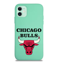 Apple iPhone 11 Uyumlu Lansman Kılıf Chicago Bulls Tasarımlı Altı Kapalı İçi Kadife Kaplı  Kapak (Şeffaf)