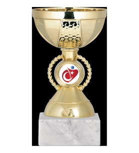 ODAK KUPA - Economy Kupalar - ECO-009 A - 16 cm